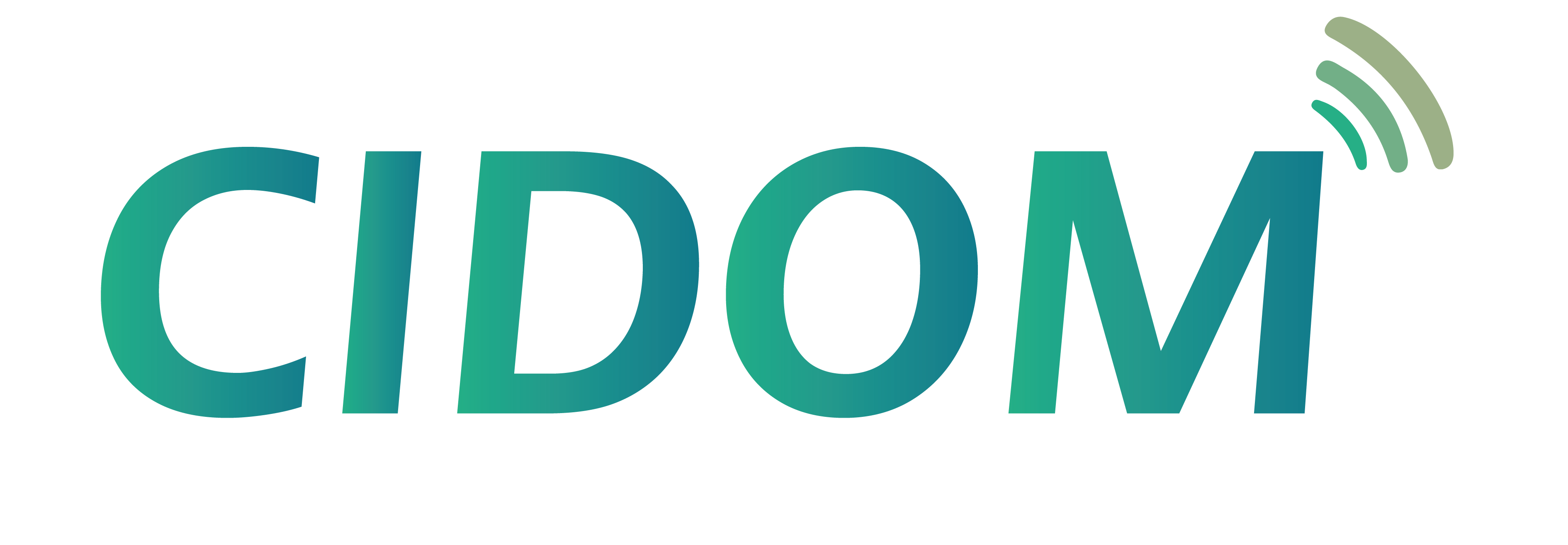 Logo Cidom couleur